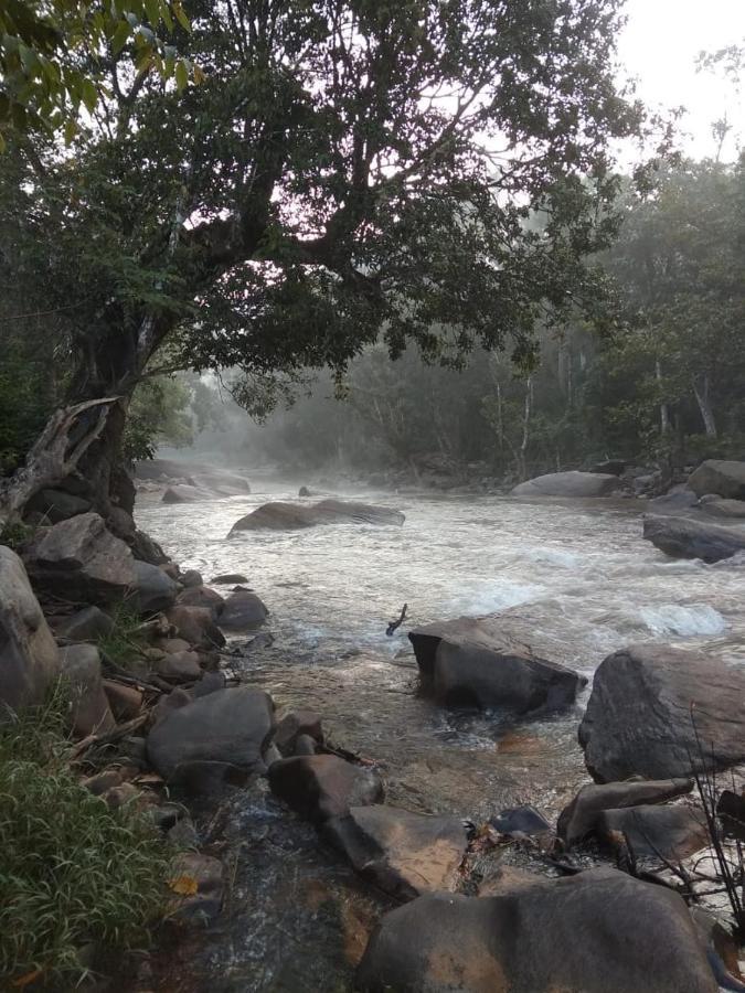 Coorg River Rock Camping Madikeri Ngoại thất bức ảnh