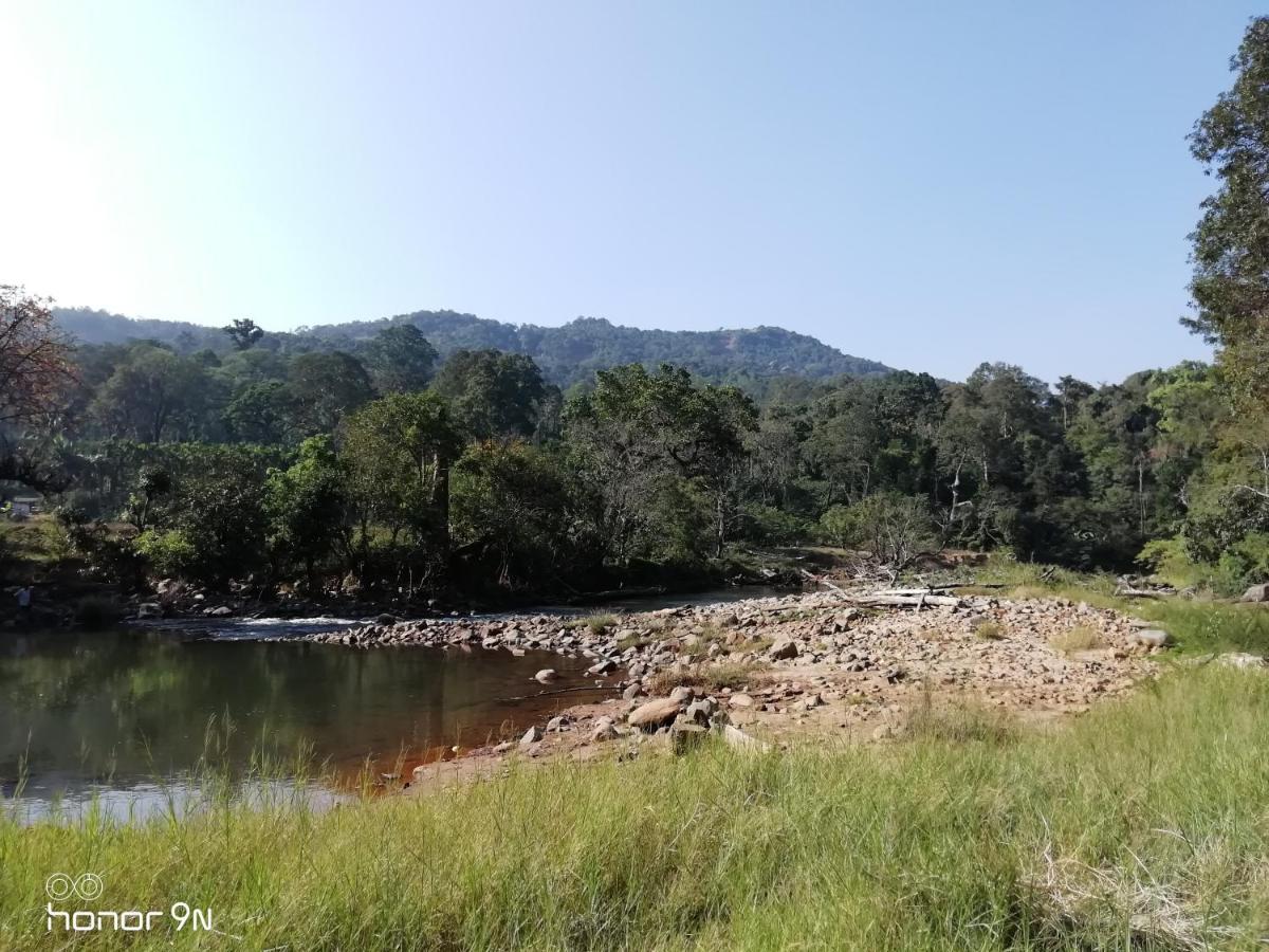 Coorg River Rock Camping Madikeri Ngoại thất bức ảnh