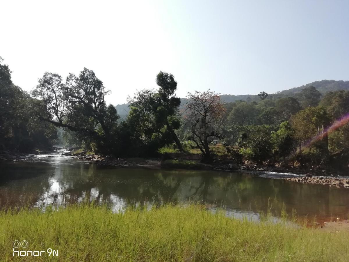 Coorg River Rock Camping Madikeri Ngoại thất bức ảnh