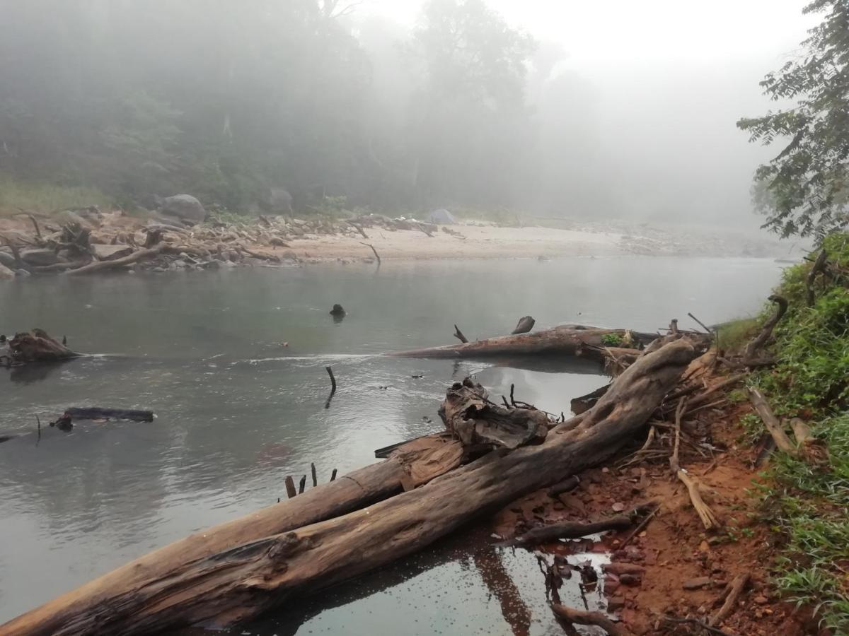 Coorg River Rock Camping Madikeri Ngoại thất bức ảnh