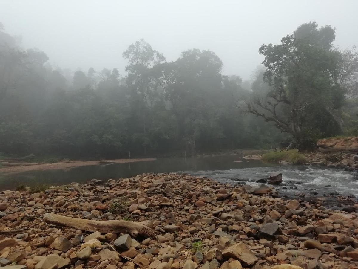 Coorg River Rock Camping Madikeri Ngoại thất bức ảnh