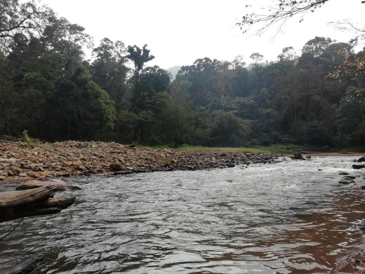 Coorg River Rock Camping Madikeri Ngoại thất bức ảnh