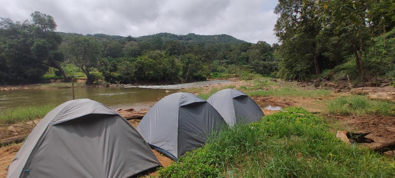 Coorg River Rock Camping Madikeri Ngoại thất bức ảnh