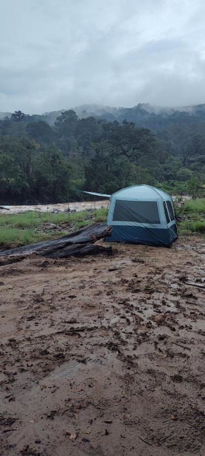 Coorg River Rock Camping Madikeri Ngoại thất bức ảnh