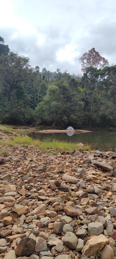 Coorg River Rock Camping Madikeri Ngoại thất bức ảnh